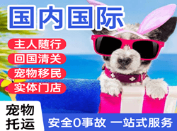 和田昆冈空运国际宠物托运 【国